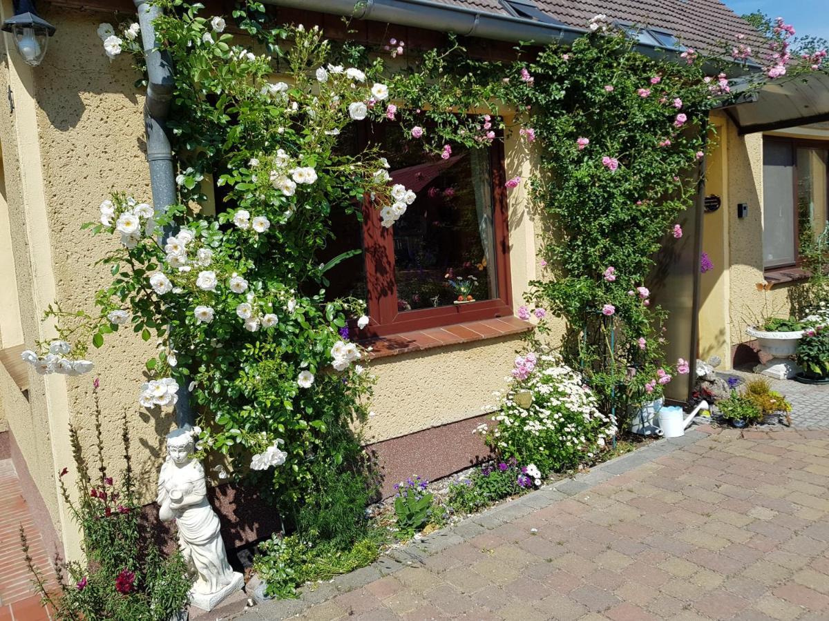 Fewo Abendrot Insula Poel Exterior foto