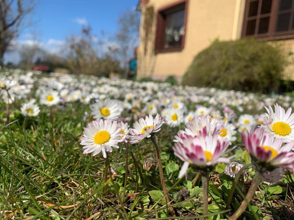 Fewo Abendrot Insula Poel Exterior foto
