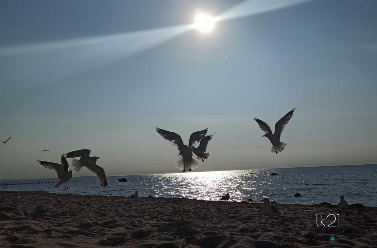 Fewo Abendrot Insula Poel Exterior foto